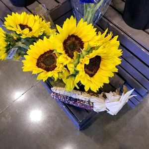 Meet your Posher, Beverly